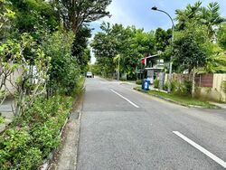 Frankel Estate (D15), Detached #473727431